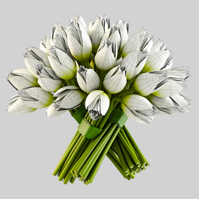 Angelique tulips — Ver 3