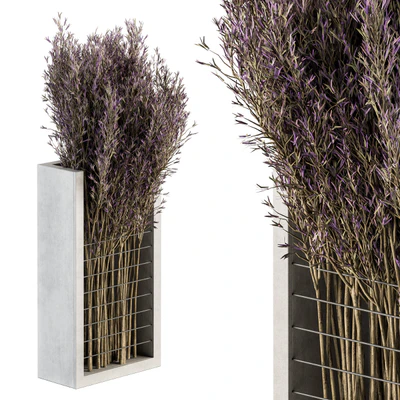 Bouquet - Lavender Branch in vase 38 — Ver 1