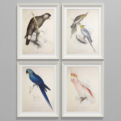 Parrot set — Ver 1