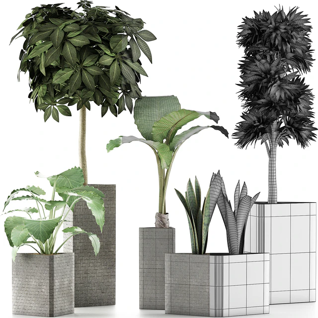 Plants Collection 39 — Descargar