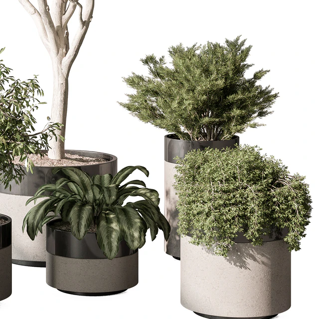 indoor Plant Set 439 (Corona) — Descargar