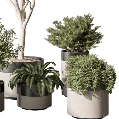 indoor Plant Set 439 (Corona) — Ver 5