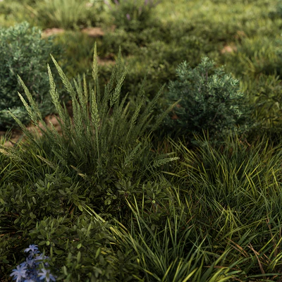 Nature Meadow - Grass Set 30 — Ver 7