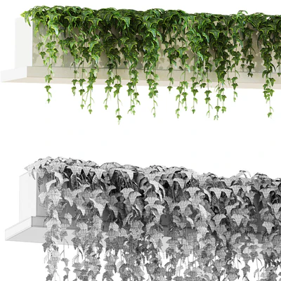 Ivy for shelves — View 3