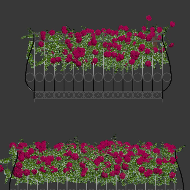 Plant geranium for the facade — Descargar