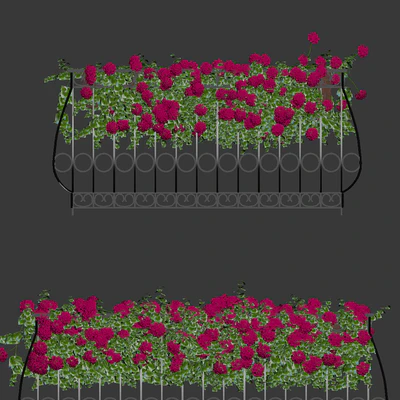 Plant geranium for the facade — Ver 2