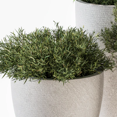 indoor Plant Set 191 - Plant in pot — Ver 4
