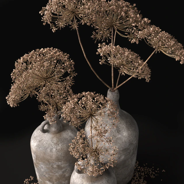 Jugs with dry dill stalks — Descargar