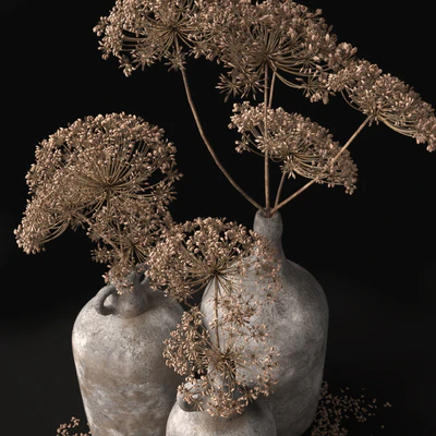 Jugs with dry dill stalks — Ver 4