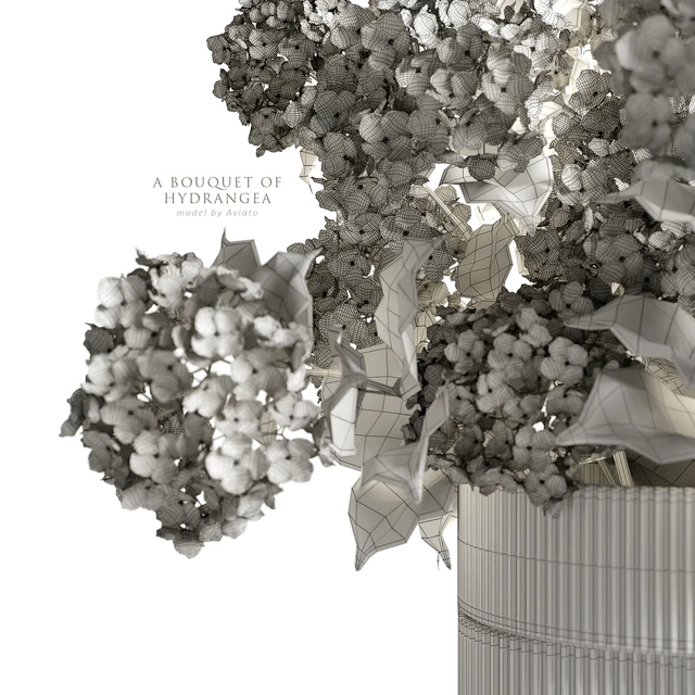 A bouquet of hydrangea 2 — Descargar