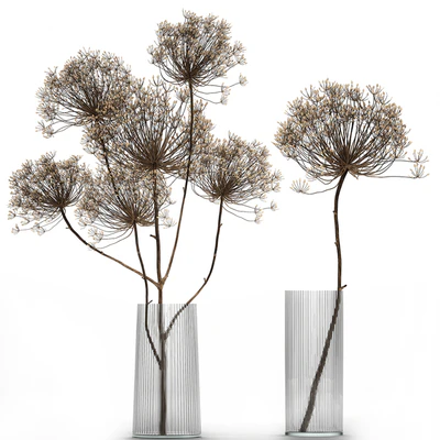 Bouquet of dried flowers in a glass vase with dry branches Hogweed . 158. — Ver 1