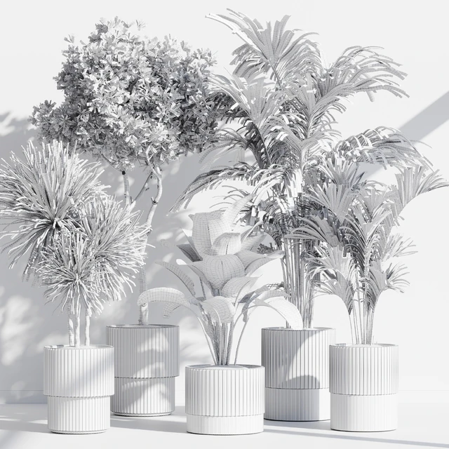 indoor plant set 78 — Descargar