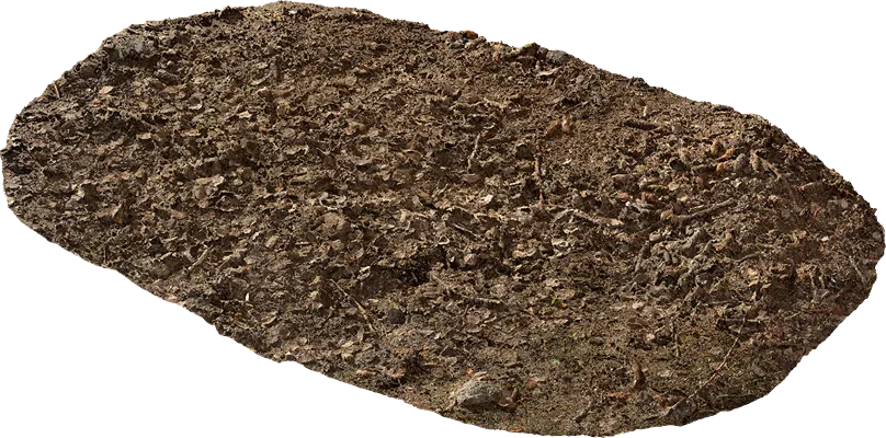 forest terrain 001 — Скачать