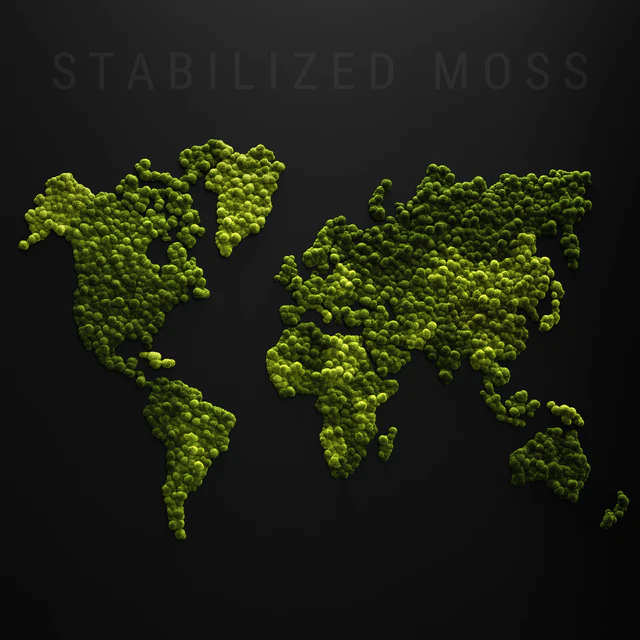 Stabilized moss - world map — Скачать