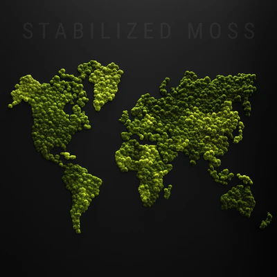 Stabilized moss - world map — Вид 1