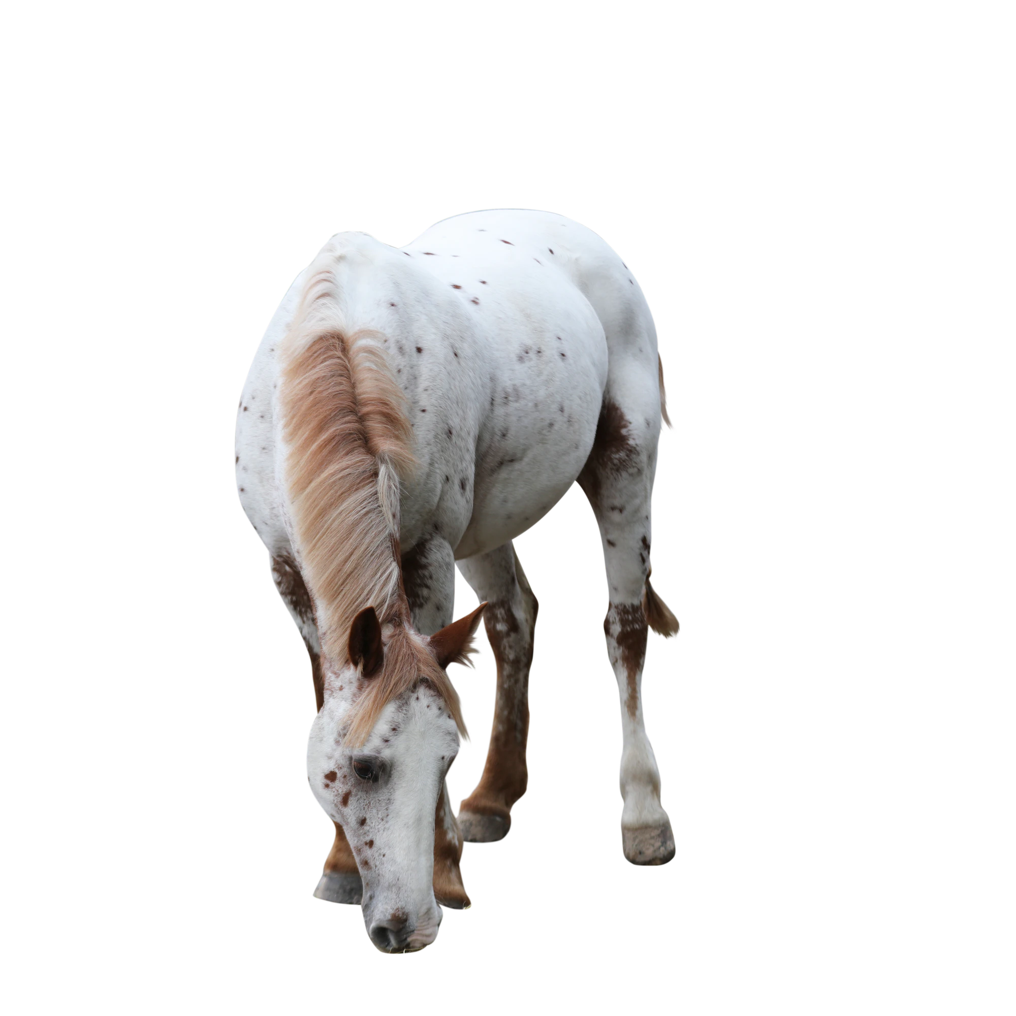 037 — Скачать