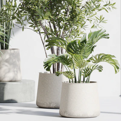 indoor plant set 66 — Вид 7