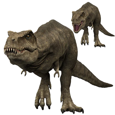 Tyrannosaurus rex — Вид 6