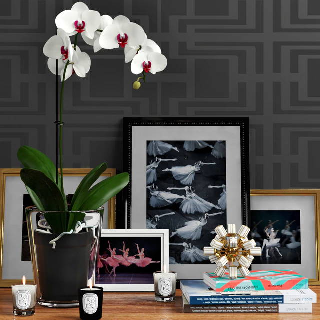 Decorative set with orchid and architect. magazines — Descargar
