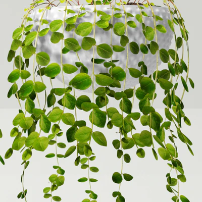 Plants in pots — Ver 3