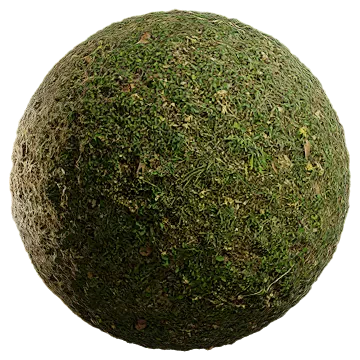 grass wild 001 — Descargar
