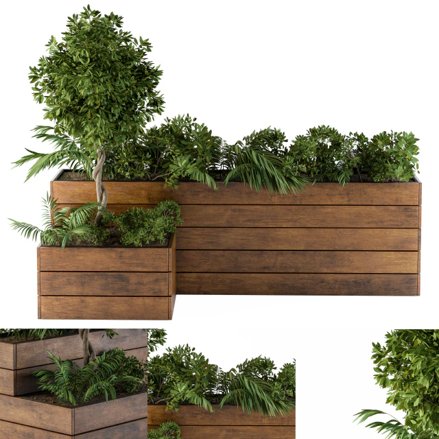 outdoor-plants Flower Box — Descargar
