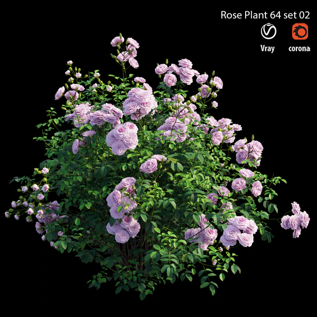 Rose plant 64 set 02 — Скачать