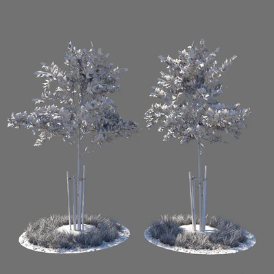 Young tree 01 — Ver 2
