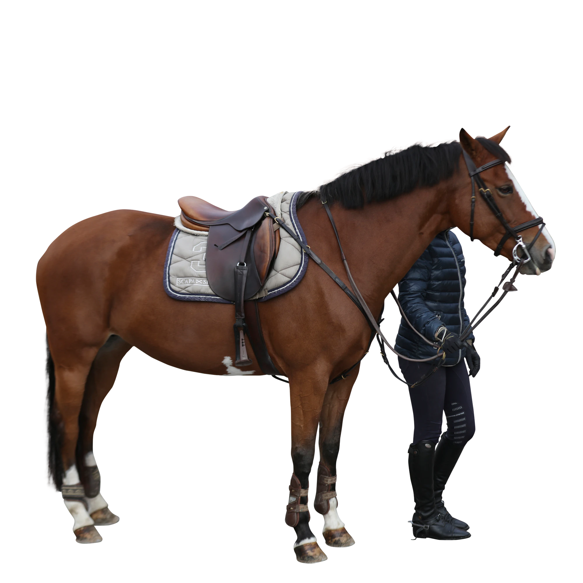 029 — Скачать