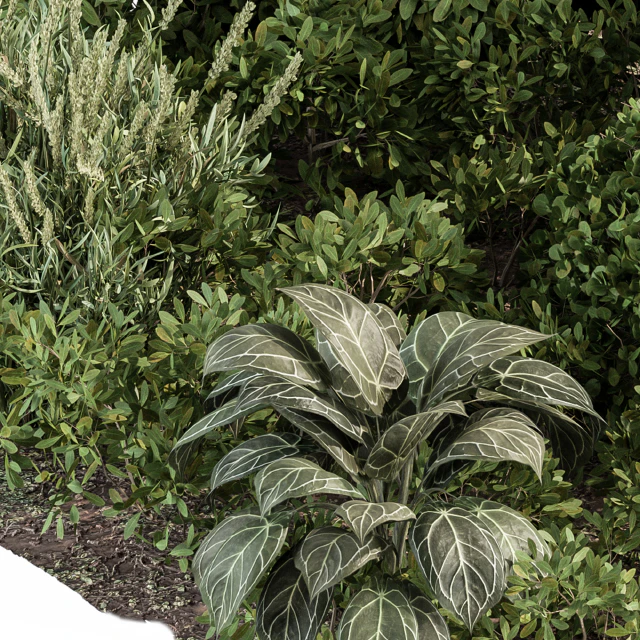Garden set ivy and Bush - Garden Set 20 — Descargar