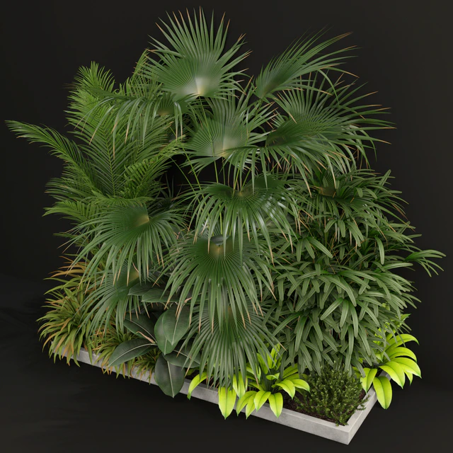 Plants collection 197 — Descargar