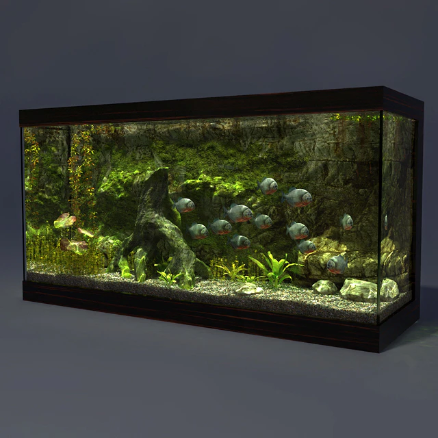 Aquarium — Descargar