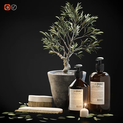Tiny bonsai olive tree in stone pot with decor set for bathroom — Ver 5