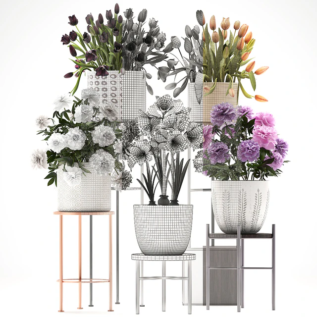 335 plant collection. Stand, Peony, Tulip, Hippeastrum, bouquet set, garden flowers, flower shelf, stand, Scandinavian style — Download
