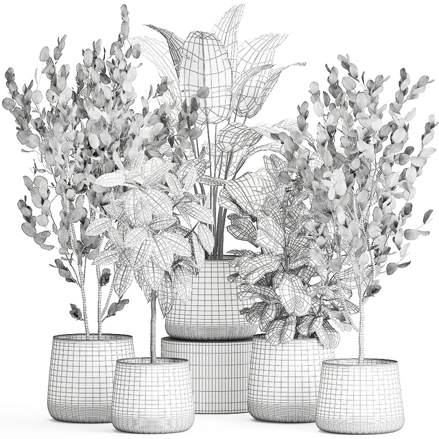 Collection of plants in outdoor metal rusty pots Tree, Banana palm, Ficus lyrata. Set 942. — Descargar
