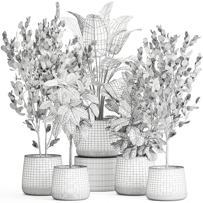 Collection of plants in outdoor metal rusty pots Tree, Banana palm, Ficus lyrata. Set 942. — Ver 7