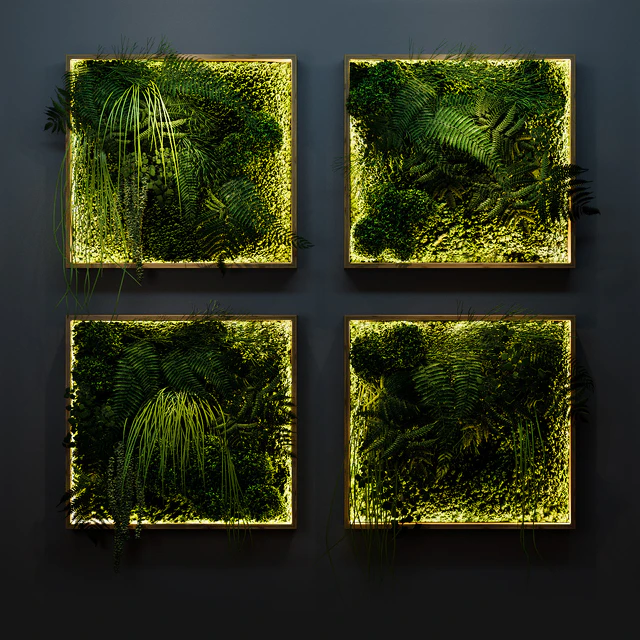 Set of moss and fern phyto modules — Descargar