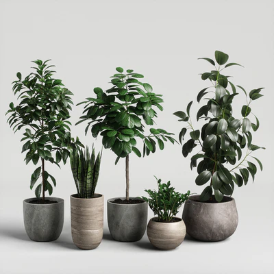 plants set 10 — Ver 5