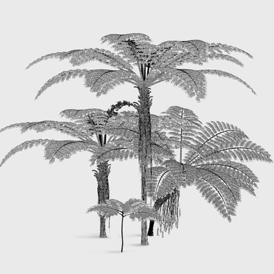 Treefern dicksonia antarctica — Ver 4