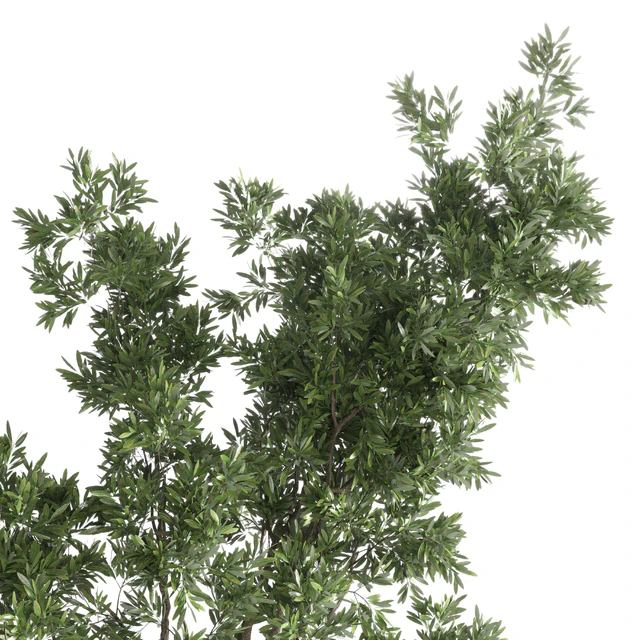 Indoor plant 56 vase handmade pottery plant tree pot — Descargar