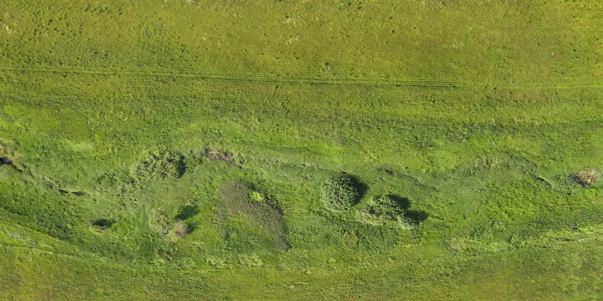 field summer 032 — Скачать