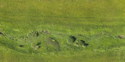 field summer 032 — Скачать
