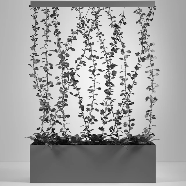 partition plant — Скачать
