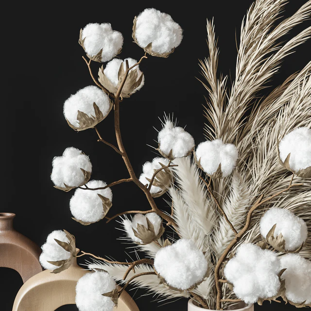 Decoration Set 34 Cotton pampas — Скачать