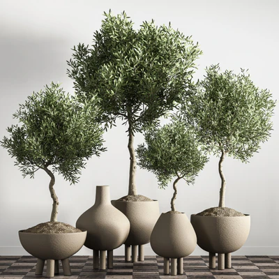indoor plant stant 46 — Вид 7