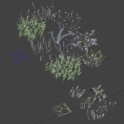 Blooming meadow grass 2 — Ver 7