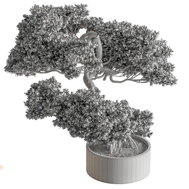 indoor Plant 626 - Bonsai Plant — Descargar