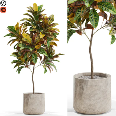 Plants collection 558 — Ver 1