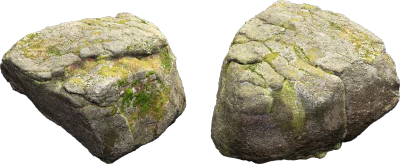 mossy forest boulder 023 — Скачать