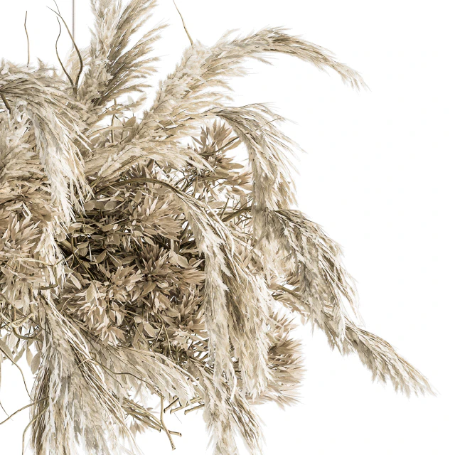 indoor Plant Set 121 - Dried Plant Hanging — Скачать